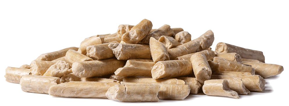 Vestkorn Pea Protein Pet Food The healthy choice for pet food production