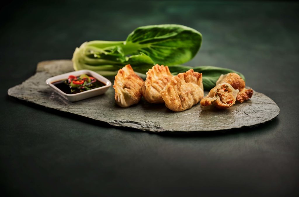Plant-based Japanese Gyosa